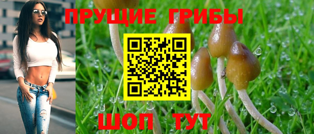 Галлюциногенные грибы Magic Shrooms Богданович