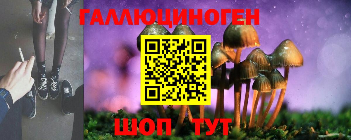 Галлюциногенные грибы MAGIC MUSHROOMS  Вход с VPN  Богданович 